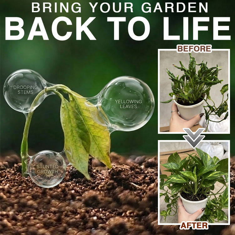 Theranovae® Plant Resurrection Liquid