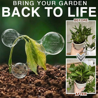 Theranovae® Plant Resurrection Liquid