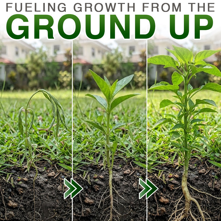 Theranovae® Plant Resurrection Liquid