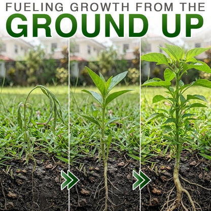 Theranovae® Plant Resurrection Liquid