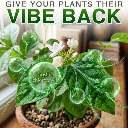 Theranovae® Plant Resurrection Liquid