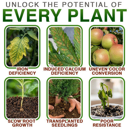 Theranovae® Plant Resurrection Liquid